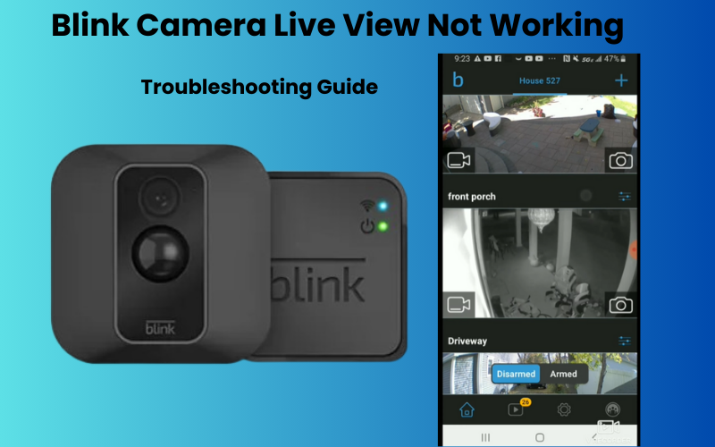 Blink Camera Live View Not Working