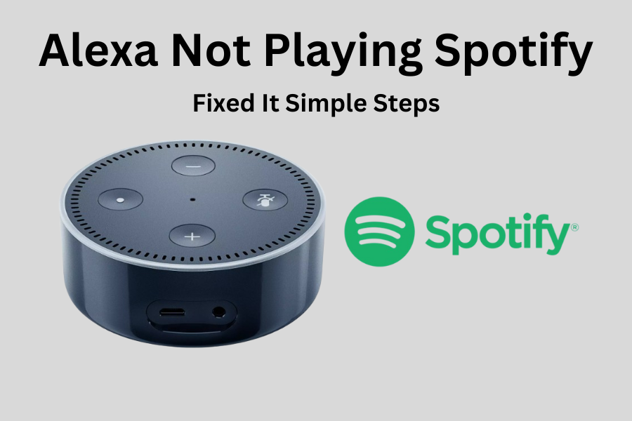 Alexa Not Playing Spotify