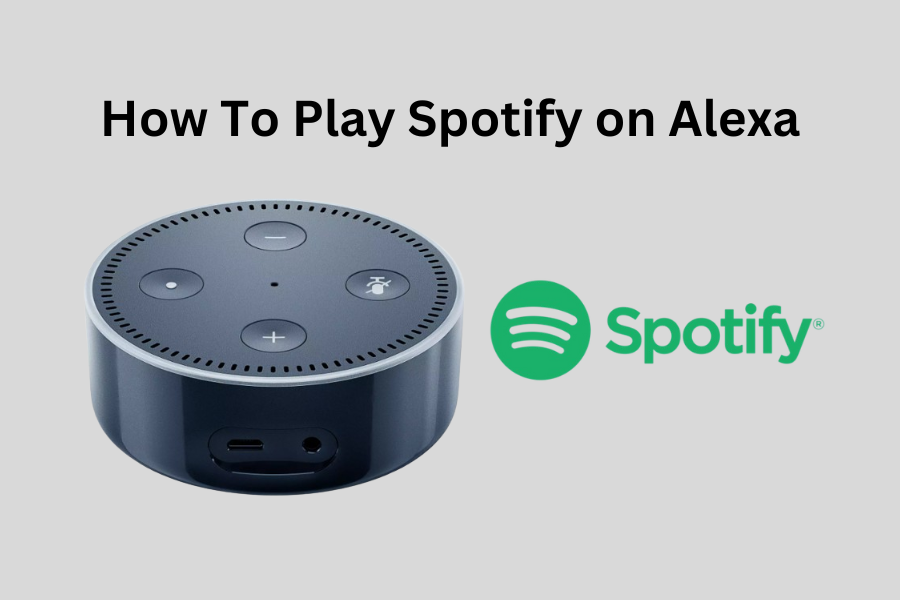 Can You Play Spotify on Alexa