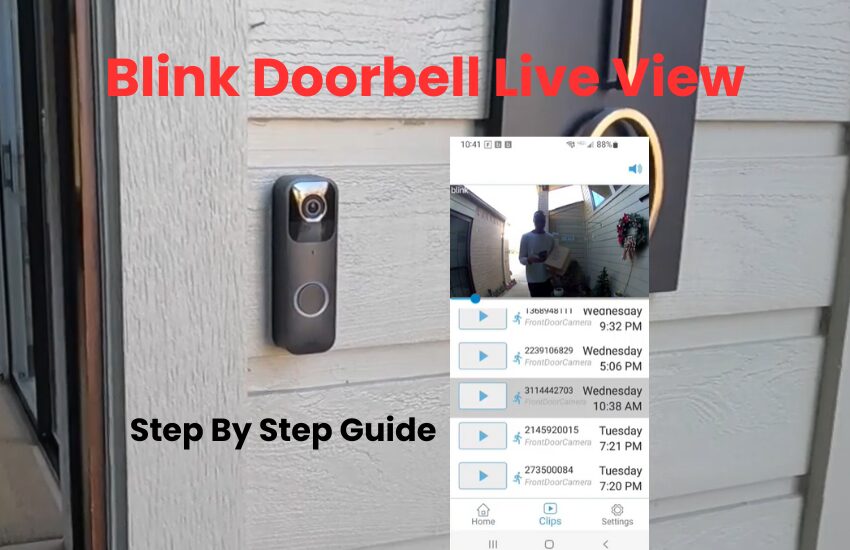 Blink Doorbell Live View