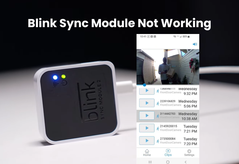 Blink Sync Module Not Working